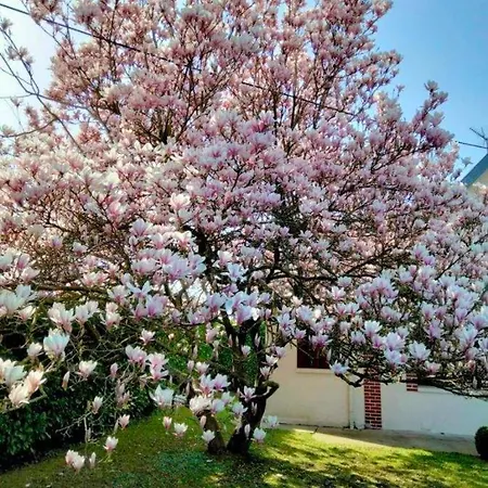 Le Clos D'aval Le Paulownia Holiday home